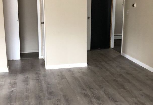 Studio, 1 bath, 450 sqft, $1,450, Unit A4