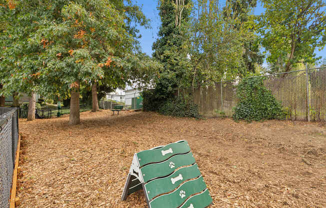 A green lawn chair sits on a dirt ground with trees in the background.