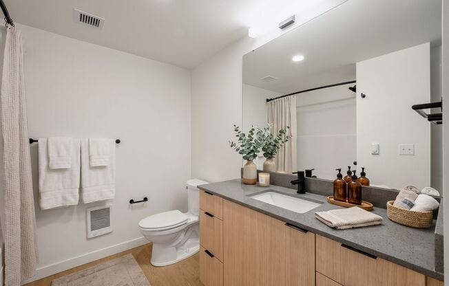 1 bed, 1 bath, 421 sqft, $1,795, Unit 501