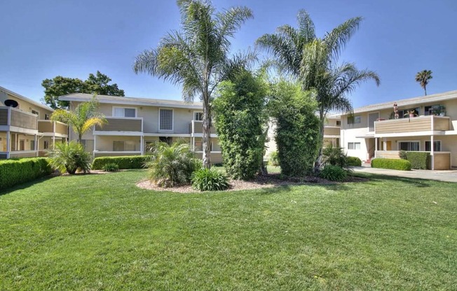 Lush Green Outdoors at Ranchero Plaza, San Jose, CA, 95117