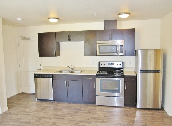 1 bed, 1 bath, $1,450