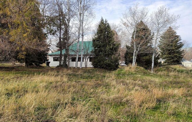 Historic Home On Large 1 Acre Property