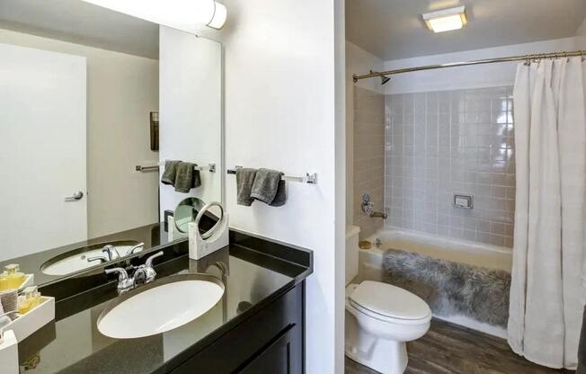 a bathroom with a sink and a toilet and a shower