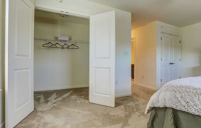 Sage Master Bedroom Closet