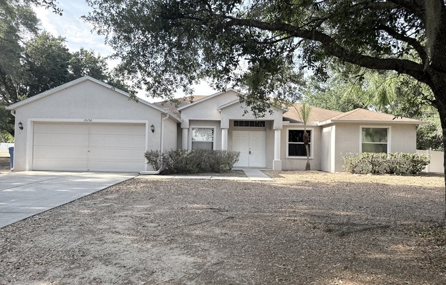 10150 BLOOMFIELD HLS DR