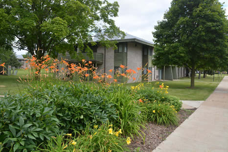 a garden in front of a building