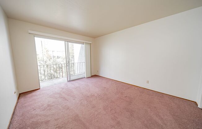 1 bed, 1 bath, $1,695, Unit 10