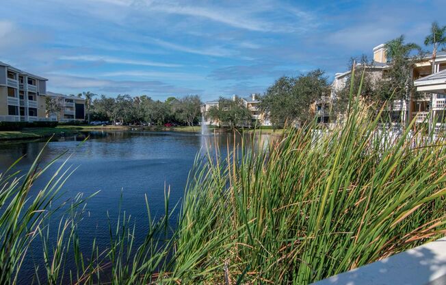 1 bed, 1 bath, $1,595, Unit UNIT 803