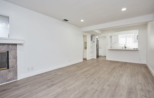 381Waldo