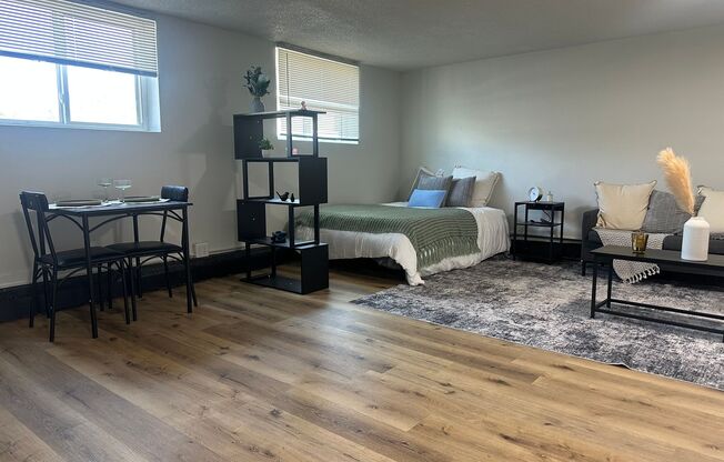 Studio, 1 bath, 450 sqft, $845, Unit 262-2