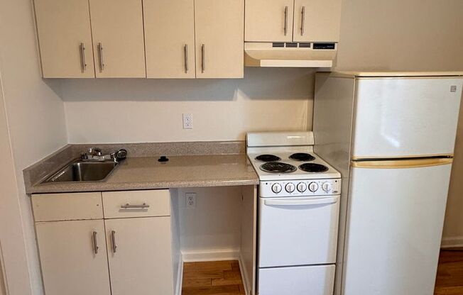 Studio, 1 bath, 240 sqft, $850, Unit 310