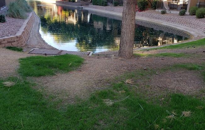 COMING SOON IN THE BRIDGES OF OCOTILLO CHANDLER