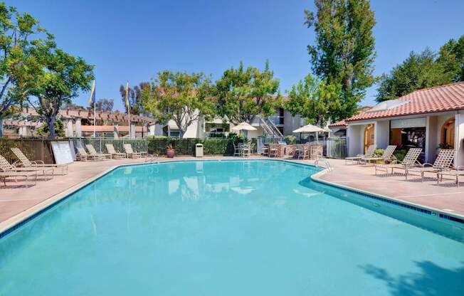 A large swimming pool surrounded by trees and lounge chairs.