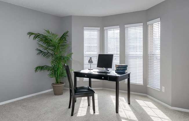 Large Windows with Carpeted Sunroom