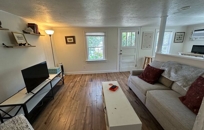 Furnished Studio Available in Pigeon Point