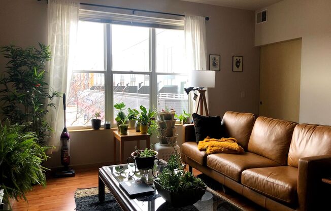 1 bed, 1 bath, 730 sqft, $1,200, Unit 105