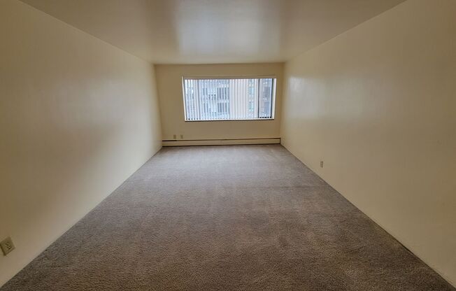 Studio, 1 bath, 415 sqft, $1,050, Unit 702