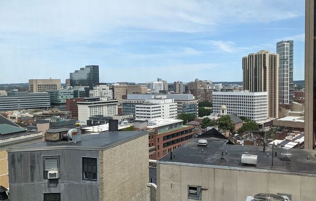 1 bed, 1 bath, 570 sqft, $3,000, Unit 1602