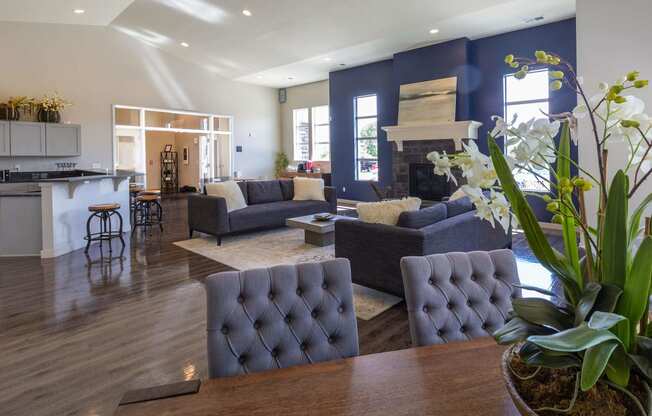a living room with a blue accent wall and hardwood floors