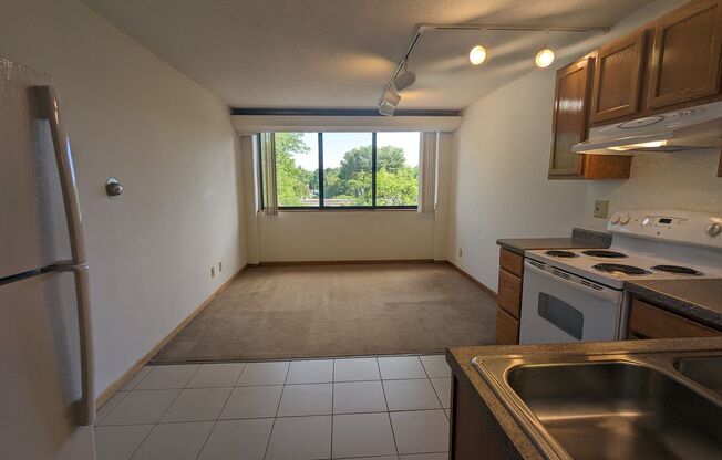 Studio, 1 bath, 310 sqft, $1,150, Unit 408