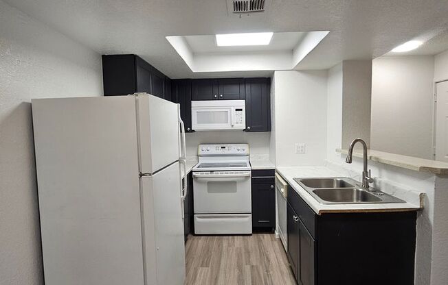 1 bed, 1 bath, 500 sqft, $995, Unit 203