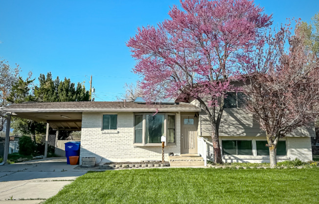 980 COUNTRY HLS DR
