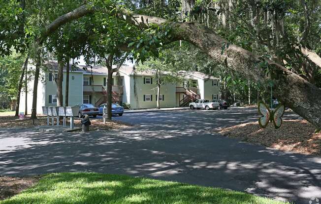 a city street with a large tree in front of a building
