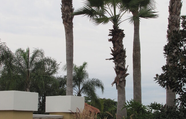 Stunning Windermere Home in Gated Community with Boat Ramp.  Available September!
