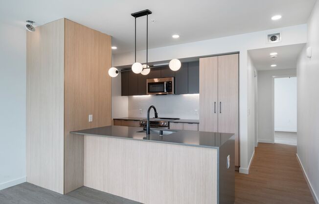 1 bed, 1 bath, 421 sqft, $1,795, Unit 409
