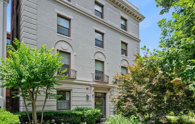 Available Now! 1 Bedroom 1 Bathroom Condo // Kalorama Triangle// 93 WalkScore!