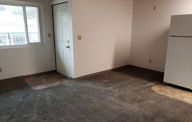 1 bed, 1 bath, 420 sqft, $585, Unit 82732