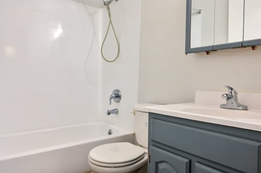 a bathroom with a sink toilet and bath tub