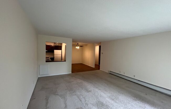 1 bed, 1 bath, 812 sqft, $1,250, Unit 101-213