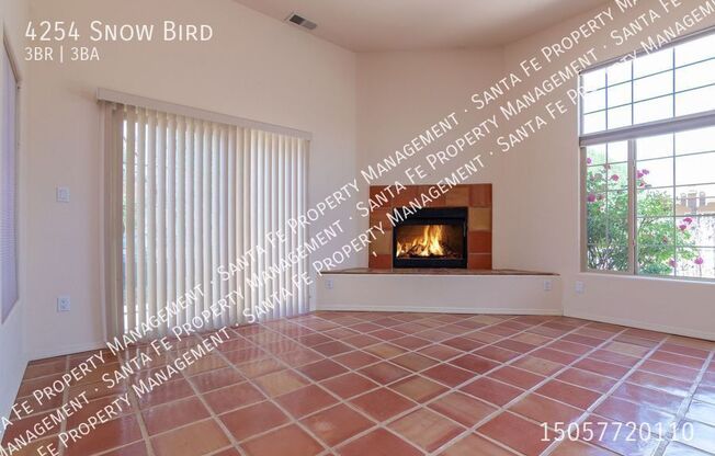 4254 SNOW BIRD