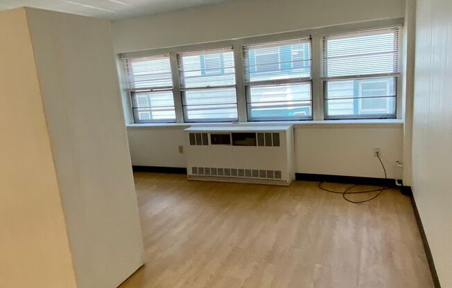 Studio, 1 bath, 450 sqft, $1,165, Unit 204