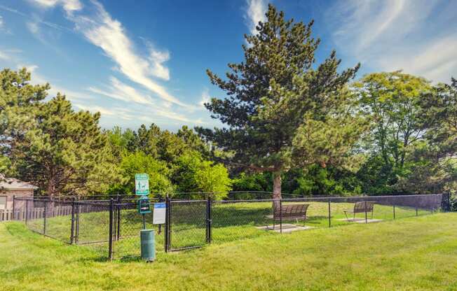 a park with a tree and benches