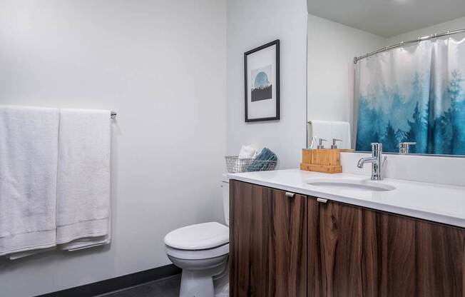 a bathroom with a sink and a toilet