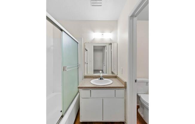a sink and a mirror