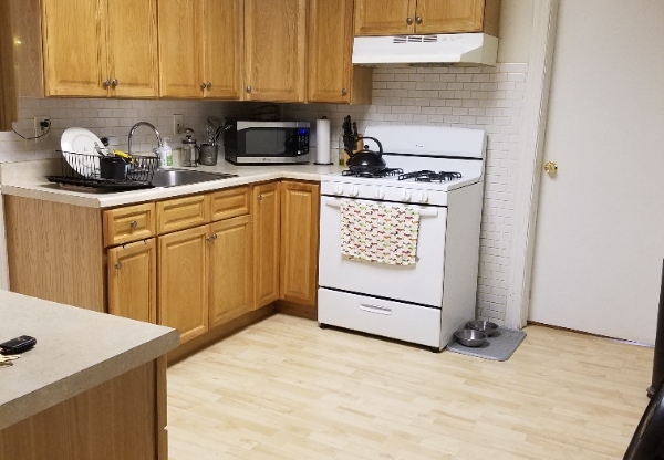 19 W ABINGTON AVE