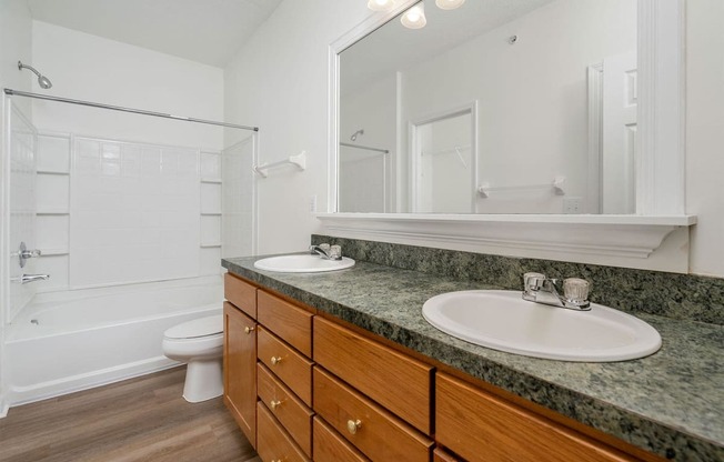 a bathroom with a sink and a toilet and a mirror