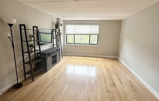 1 bed, 1 bath, 663 sqft, $2,700, Unit 408