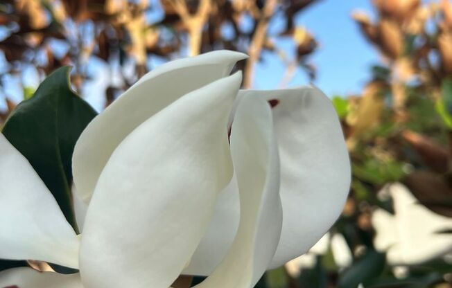 2 beds, 2 baths, 914 sqft, $1,095, Unit 22-908