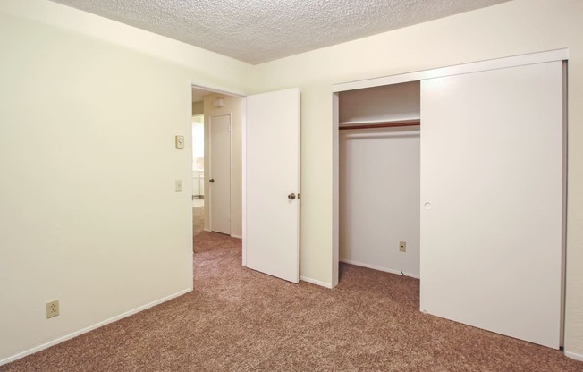 an empty bedroom with a closet and a carpeted floor