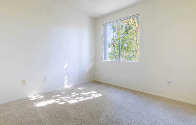 Carpeted Bedroom