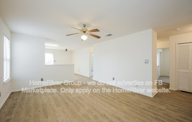 14211 YELLOW WARBLER