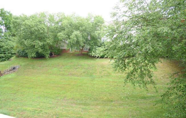 16423 GOLDEN RIV LN