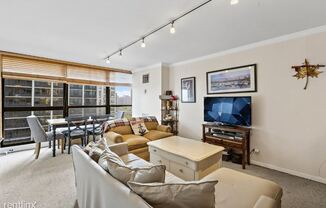 1540 North La Salle 1203