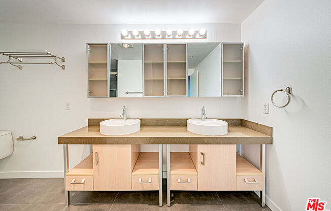 1 bed, 2 baths, 1,130 sqft, $2,700, Unit 313