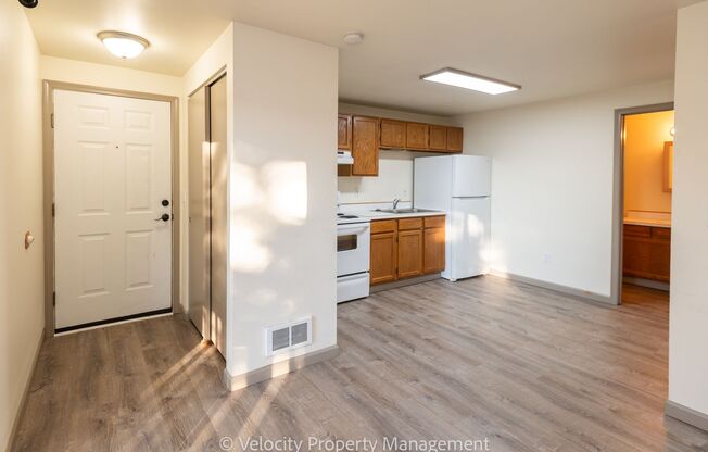 1 bed, 1 bath, $1,395, Unit #3