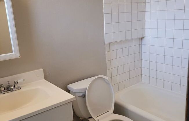 Studio, 1 bath, $795, Unit 110